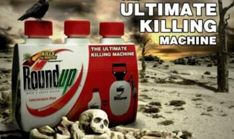 Roundup, Pesticides, Your Kids and Autism Image